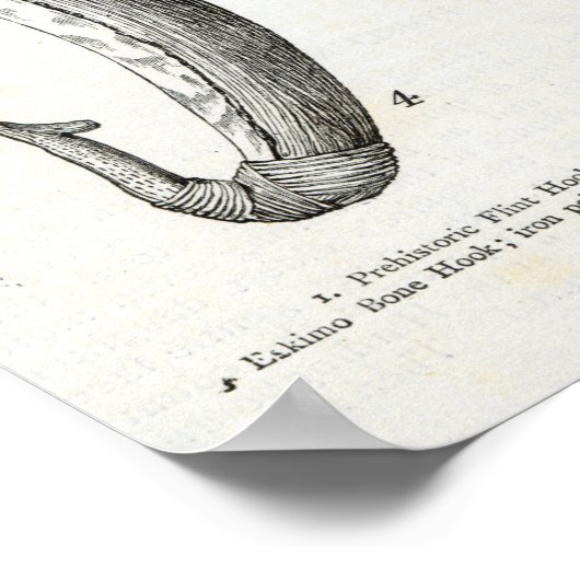 vishaken van prehistorisch en onbeschaafd poster (Hoek)