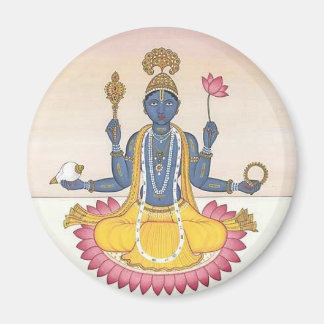 vishnu magneet