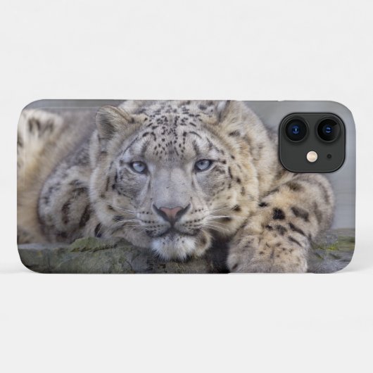 Vishnu Sneeuwluipaard iPhone 11 Hoesje (Achterkant (horizontaal))