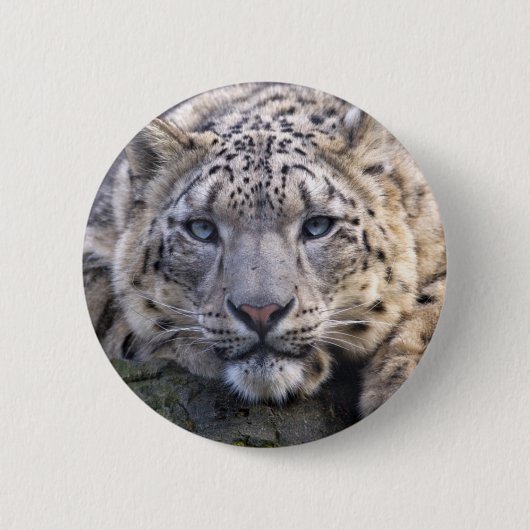 Vishnu Snow Leopard Badge Ronde Button 5,7 Cm (Voorkant)