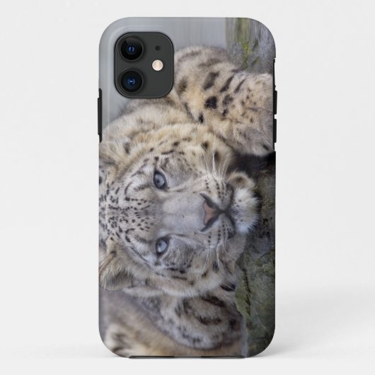 Vishnu Snow Leopard iPhone 5 Hoesje-Mate Hoesje (Achterkant)