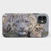 Vishnu Snow Leopard iPhone 5 Hoesje-Mate Hoesje (Achterkant (horizontaal))