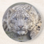 Vishnu Snow Leopard Onderzetter (Voorkant)