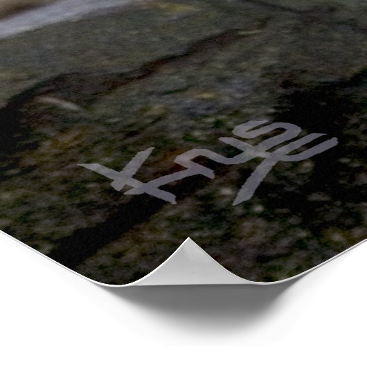 Vishnu Snow Leopard Print (Hoek)