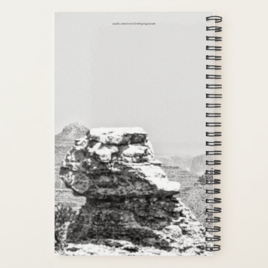 Vishnu Temple Planner (Achterkant)