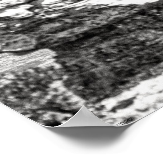 Vishnu Temple Poster (Hoek)