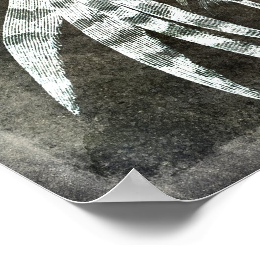 Vishook - Vliegende vissen - Bruin Poster (Hoek)