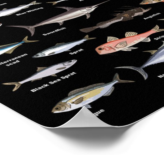  visidentificatiekaart Vist Poster (Hoek)