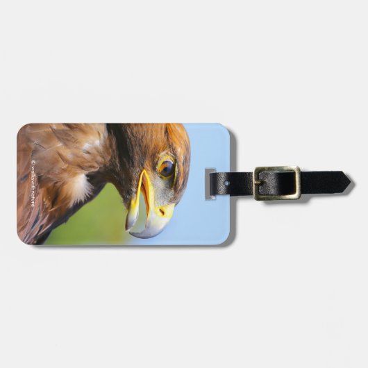 Visie op een mooie jonge Golden Eagle Bagagelabel (Voorkant horizontaal)