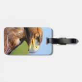 Visie op een mooie jonge Golden Eagle Bagagelabel (Achterkant horizontaal)