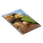 Visie op een mooie jonge Golden Eagle Notitieboek (Rechterzijde)