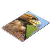 Visie op een mooie jonge Golden Eagle Notitieboek (Linkerzijde)