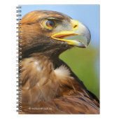 Visie op een mooie jonge Golden Eagle Notitieboek (Voorkant)
