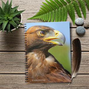 Visie op een mooie jonge Golden Eagle Notitieboek