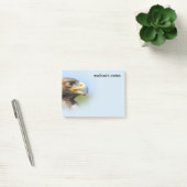 Visie op een mooie jonge Golden Eagle Post-it® Notes (Kantoor)