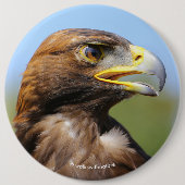 Visie op een mooie jonge Golden Eagle Ronde Button 6,0 Cm (Voorkant)