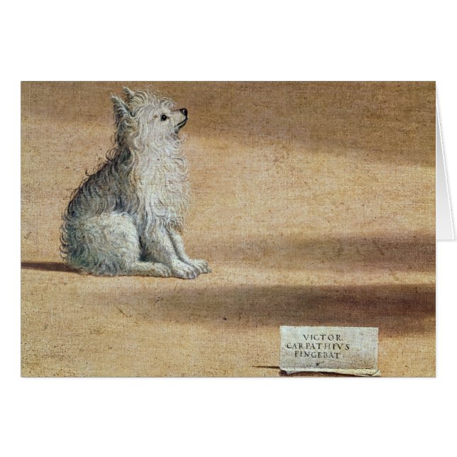 Visie op St. Augustine (Voorkant Horizontaal)