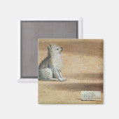 Visie op St. Augustine Magneet (Voorkant / Achterkant)