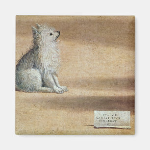 Visie op St. Augustine Magneet