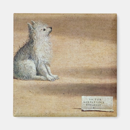 Visie op St. Augustine Magneet (Voorkant)