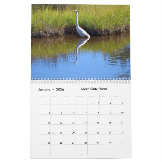 Visies van St. Augustine, Florida 2024 Kalender (Jan 2026)