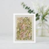  visillustratie briefkaart (Staand voorkant)