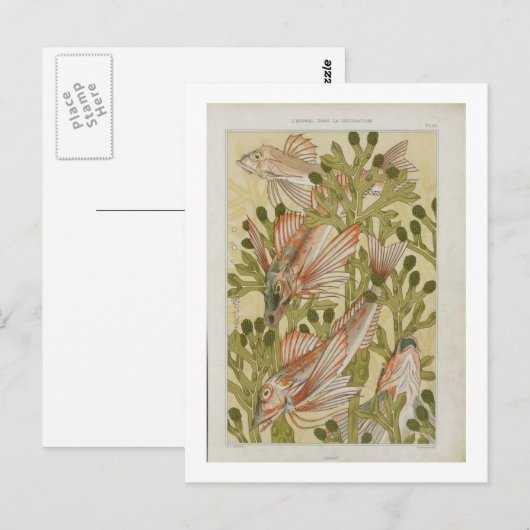  visillustratie briefkaart (Voorkant / Achterkant)