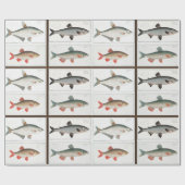  visillustraties cadeaupapier (Vlak)