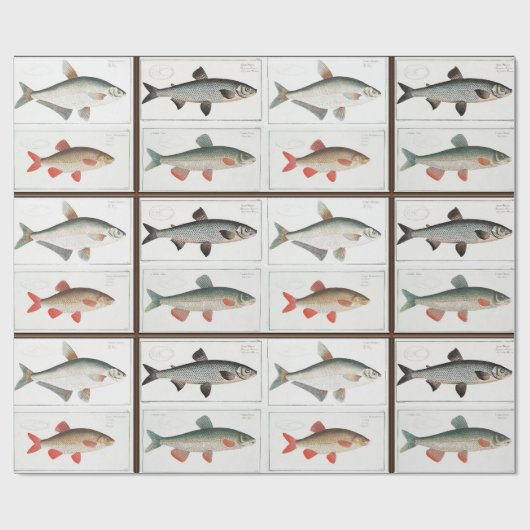  visillustraties cadeaupapier (Vlak)