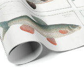  visillustraties cadeaupapier (Rol Hoek)