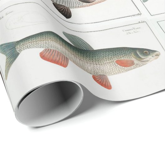  visillustraties cadeaupapier (Rol Hoek)