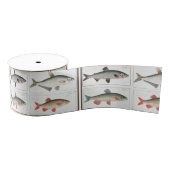 visillustraties grosgrain lint (Spoel)