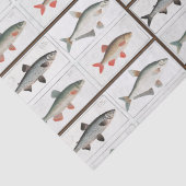  visillustraties tissuepapier (Detail)