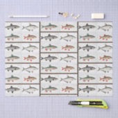  visillustraties tissuepapier (Craft)