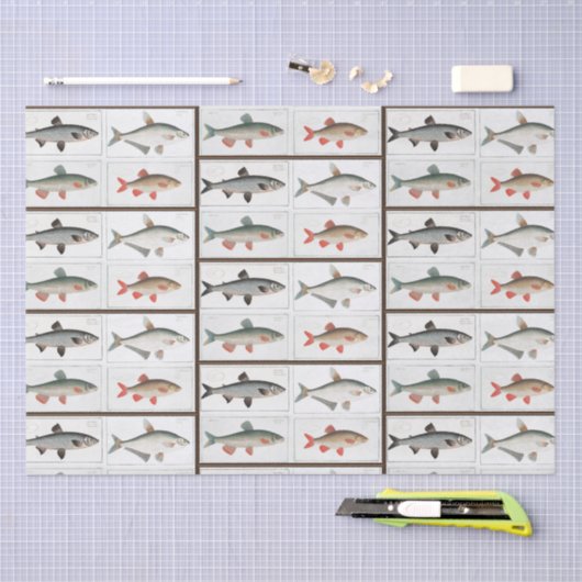  visillustraties tissuepapier (Craft)