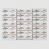  visillustraties tissuepapier (Voorkant)