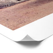 Vision Of St.Augustine By Vittore Carpaccio Poster (Hoek)