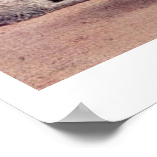 Vision Of St.Augustine By Vittore Carpaccio Poster (Hoek)