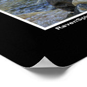 "Vision Quest" Grijze Wolf Foto Poster (Hoek)