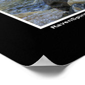 "Vision Quest" Grijze Wolf Wildlife Foto Poster (Hoek)