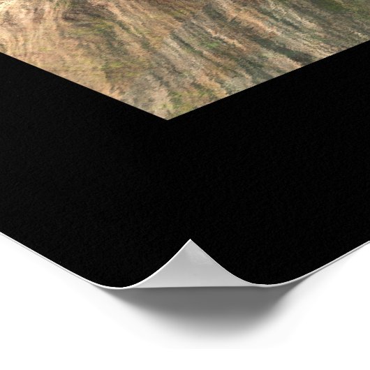 Visionary Canyon Poster (Hoek)