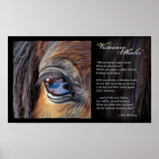 Visionary Healer inspiratie, © Kim McElroy Poster