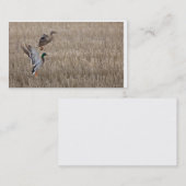 Visitekaartje (Voorkant / Achterkant)