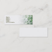 Visitekaartje (Voorkant / Achterkant)