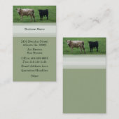 Visitekaartje (Voorkant / Achterkant)