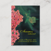 Visitekaartje (Achterkant)