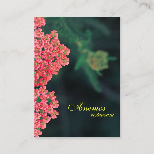 Visitekaartje (Voorkant)