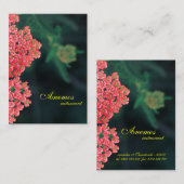 Visitekaartje (Voorkant / Achterkant)