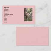 Visitekaartje (Voorkant / Achterkant)