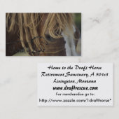 Visitekaartje (Voorkant / Achterkant)